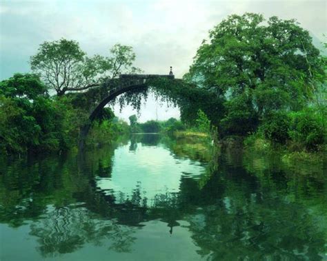 我願化作石橋出處|我願化身石橋